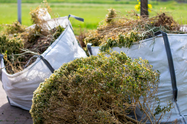 Best Professional Junk Removal  in Lehi, UT